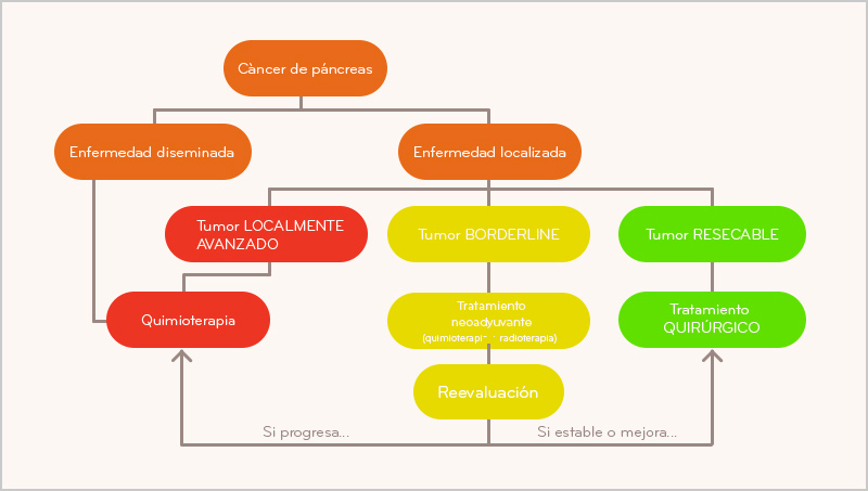 proceso-cancer-pancreas