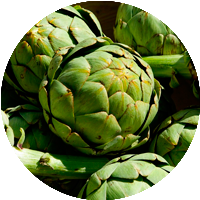 alcachofa