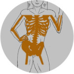 enfermedades-relacionadas-con-la-menopausia-osteoporosis
