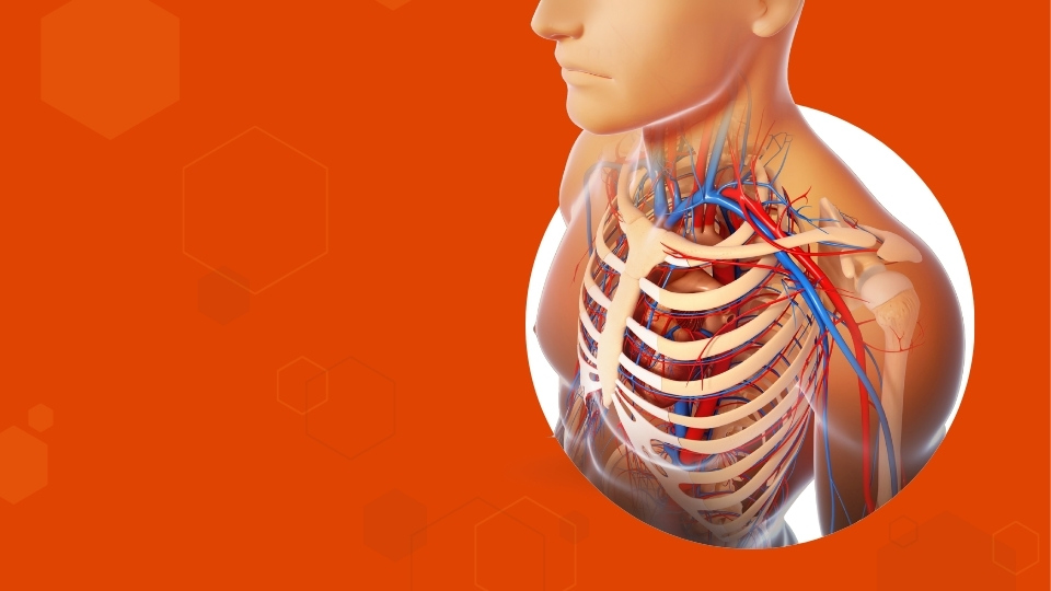 Mediastino