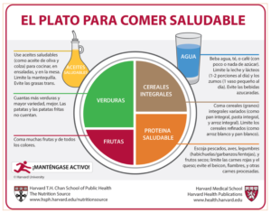 método del plato - esquema