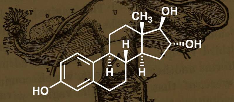 Was sind Östrogene, Funktion und was tun bei Östrogenmangel