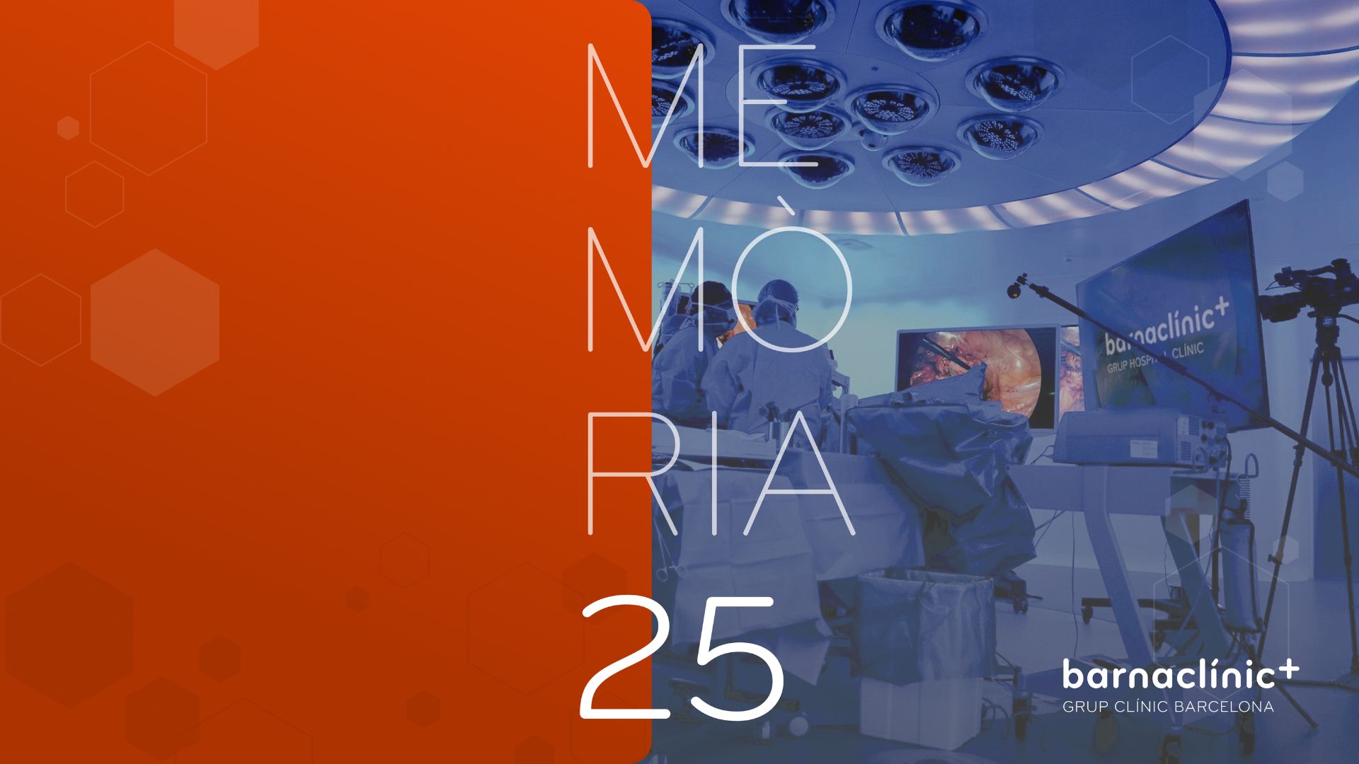 Memoria 2025