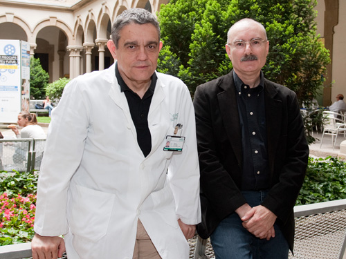 Las apneas del se asocian un mayor riesgo de mortalidad por | Noticias |