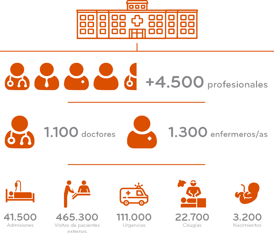 Cifras descriptivas del Grupo Hospital Clínic