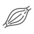 Lesión muscular