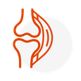 Lesión tendon