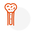 Lesión medular