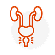 Cáncer urológico